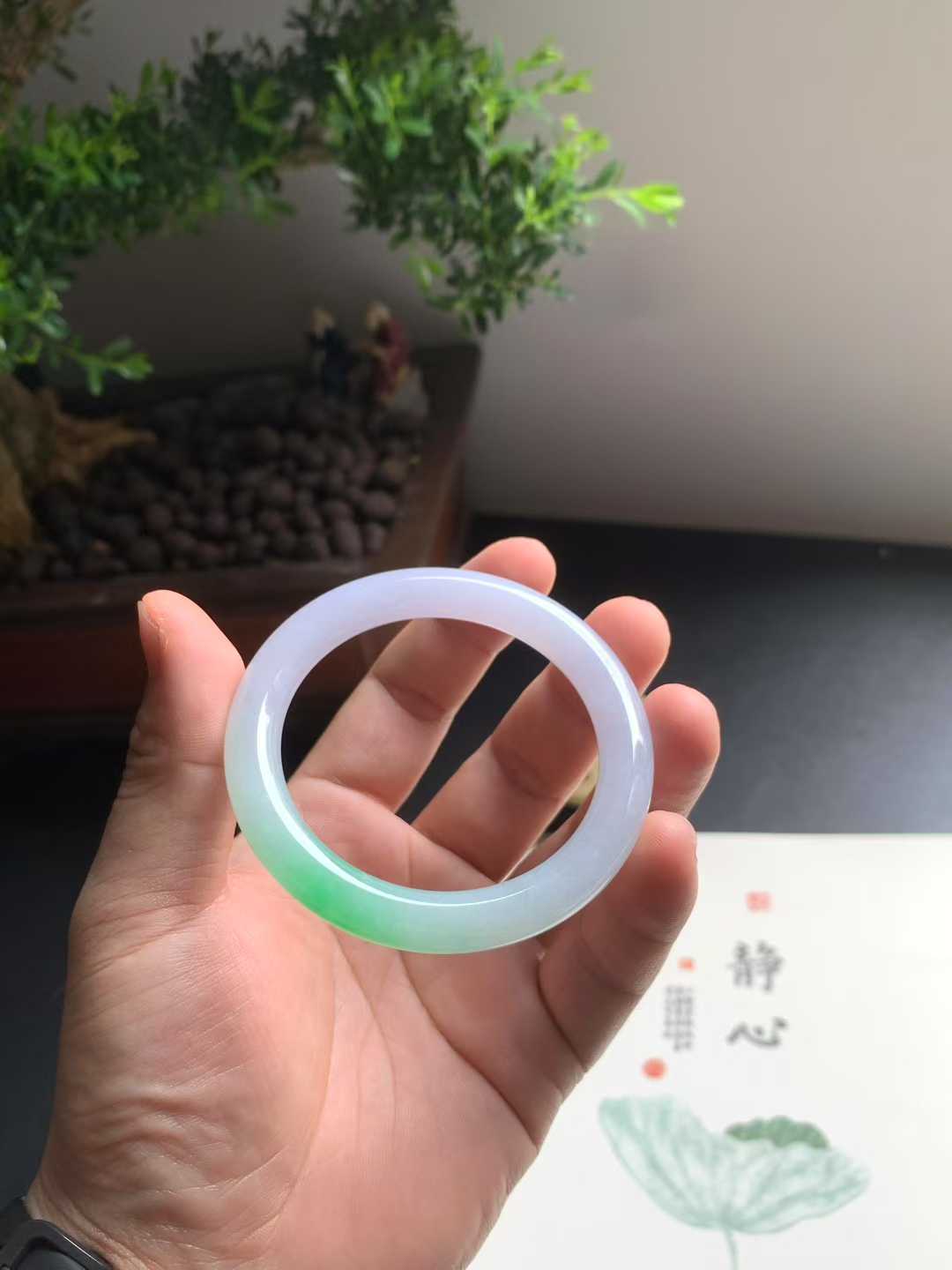 新货速递📦 冰糯种阳绿圆条翡翠手镯